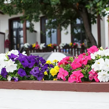 Apartament Gaestehaus Hoferichter, Whg 1 *